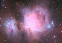M42-1.jpg
