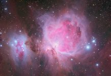 M42-2.jpg